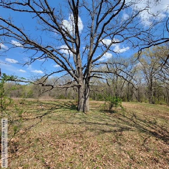 Adair County Missouri Hunting Lease Property 11046 Base Camp Leasing