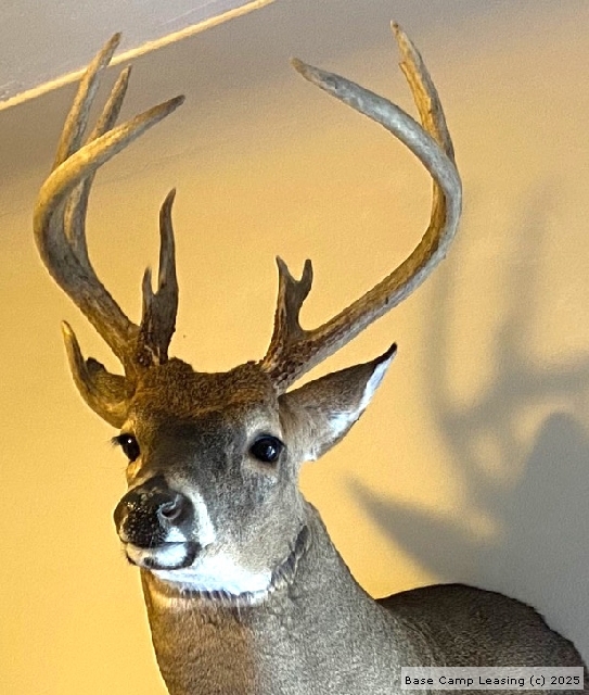 Hillsdale County Michigan Hunting Lease Property 3667 Base Camp