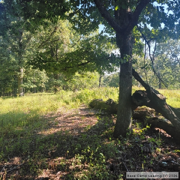 Wright County Missouri Hunting Lease Property 11365 Base Camp Leasing