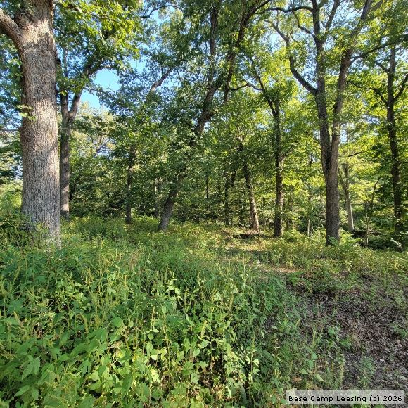 Wright County Missouri Hunting Lease Property 11365 Base Camp Leasing