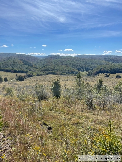 Randolph County West Virginia Hunting Lease - Property #11433 | Base
