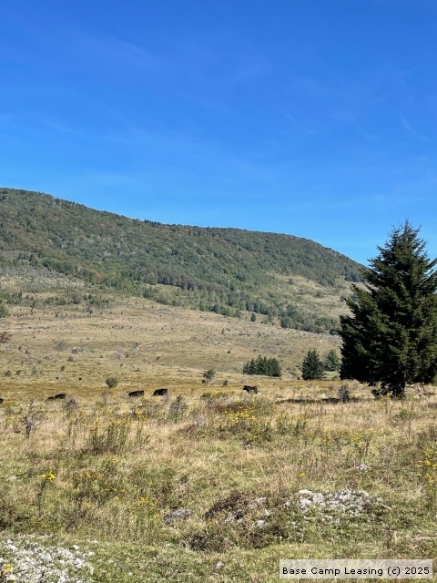Randolph County West Virginia Hunting Lease - Property #11433 | Base