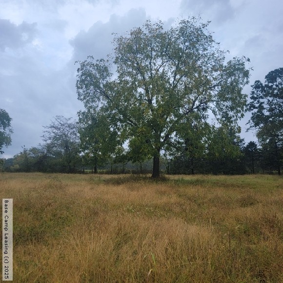 Maries County Missouri Hunting Lease Property 11471 Base Camp Leasing