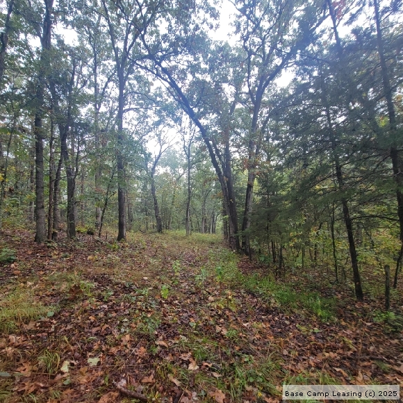 Maries County Missouri Hunting Lease Property 11471 Base Camp Leasing