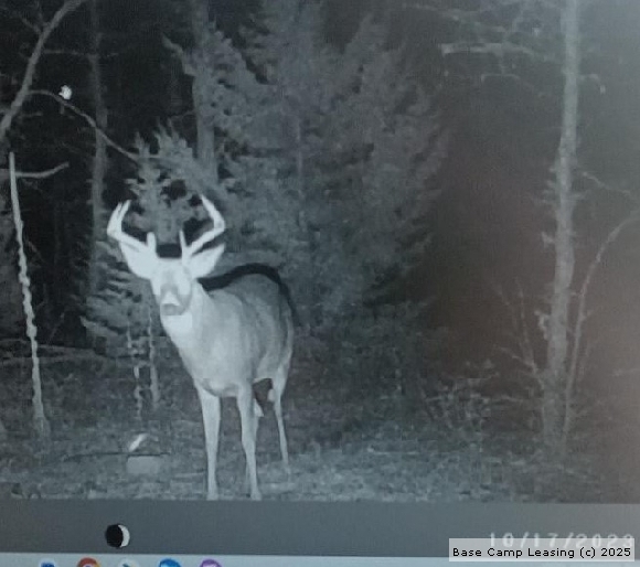 Graham County Kansas Hunting Lease Property 11278 Base Camp Leasing