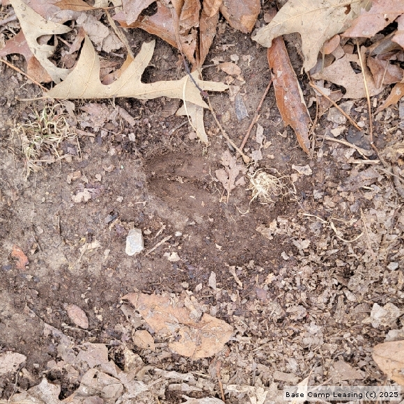 Howell County Missouri Hunting Lease Property 11571 Base Camp Leasing