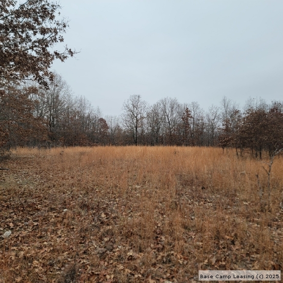Howell County Missouri Hunting Lease Property 11571 Base Camp Leasing