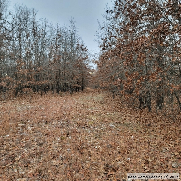 Howell County Missouri Hunting Lease Property 11571 Base Camp Leasing