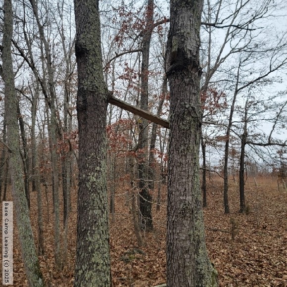 Howell County Missouri Hunting Lease Property 11571 Base Camp Leasing