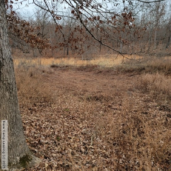 Howell County Missouri Hunting Lease Property 11571 Base Camp Leasing