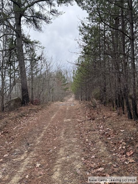 Lease price connection at lawrence before christmas