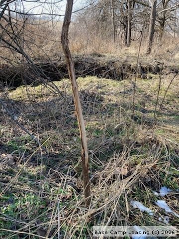 Lease price connection at lawrence before christmas