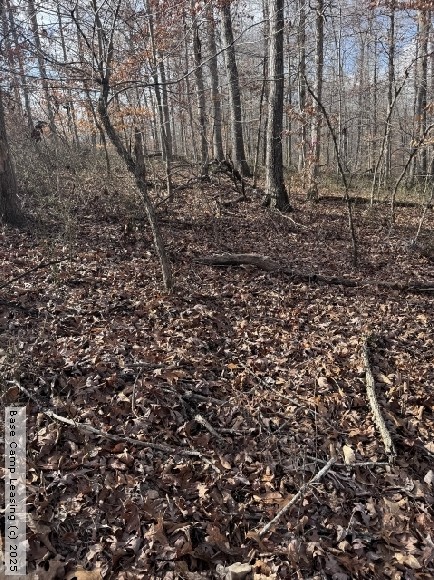 Stewart County Tennessee Hunting Lease Property 11684 Base Camp