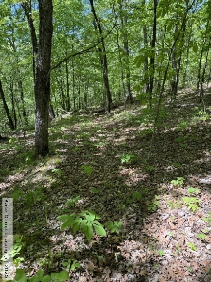 Boone County Arkansas Hunting Lease Property 11795 Base Camp Leasing