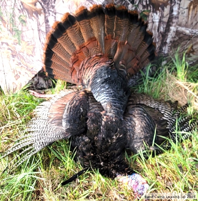 Guernsey County Ohio Hunting Lease Property 3922 Base Camp Leasing