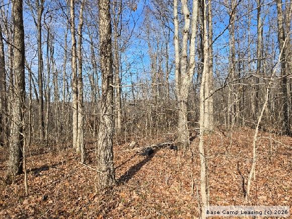 Cumberland County Kentucky Hunting Lease - Property #12354 | Base Camp