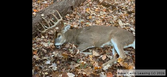 Cumberland County Kentucky Hunting Lease - Property #12354 | Base Camp