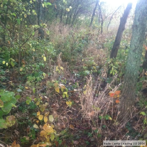 Randolph County Indiana Hunting Lease Property 6337 Base Camp Leasing