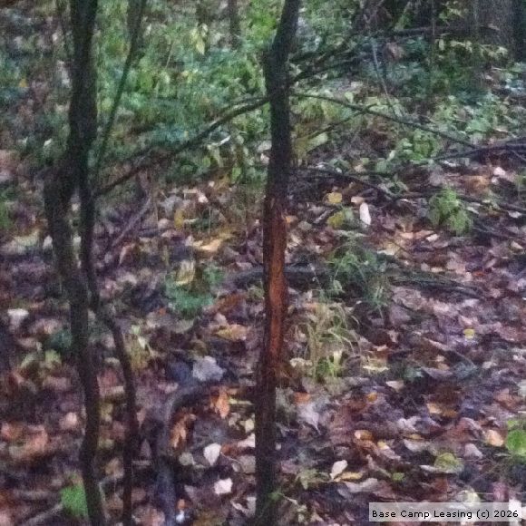 Randolph County Indiana Hunting Lease Property 6337 Base Camp Leasing