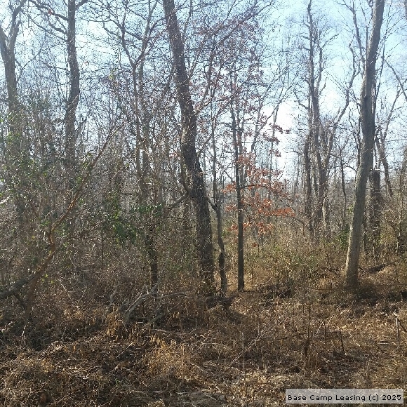 Henderson County Kentucky Hunting Lease Property 6441 Base Camp