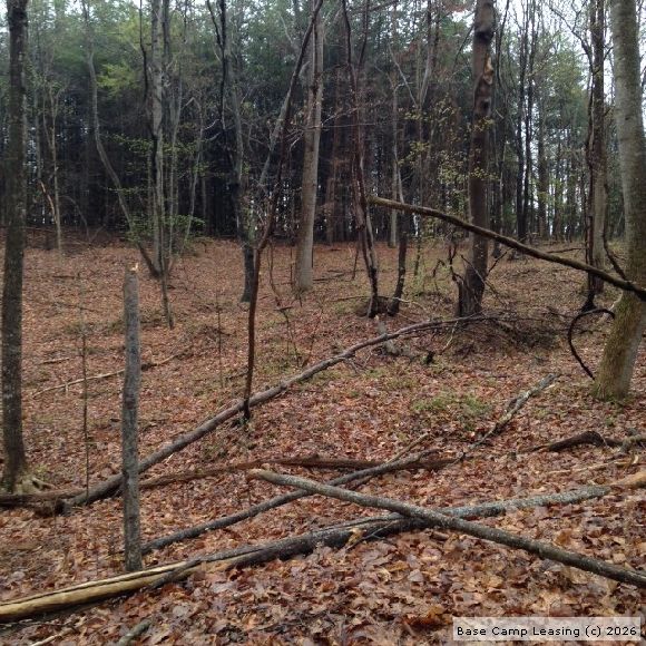 Pittsylvania County Virginia Hunting Lease Property 6544 Base Camp