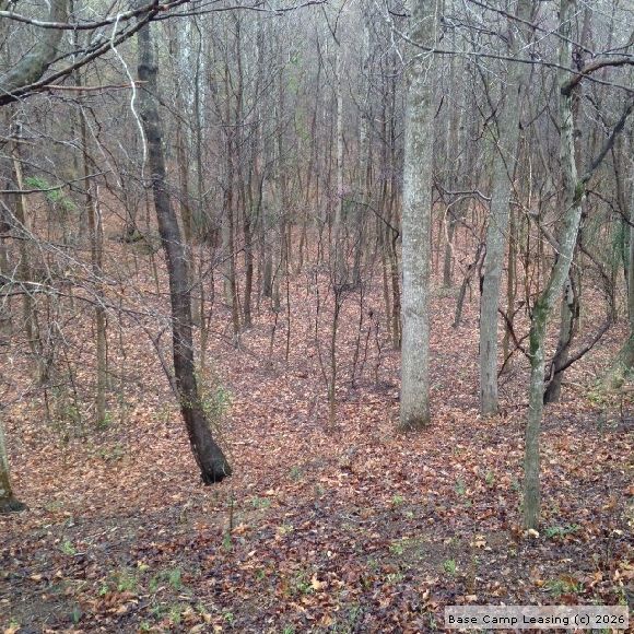 Pittsylvania County Virginia Hunting Lease Property 6544 Base Camp