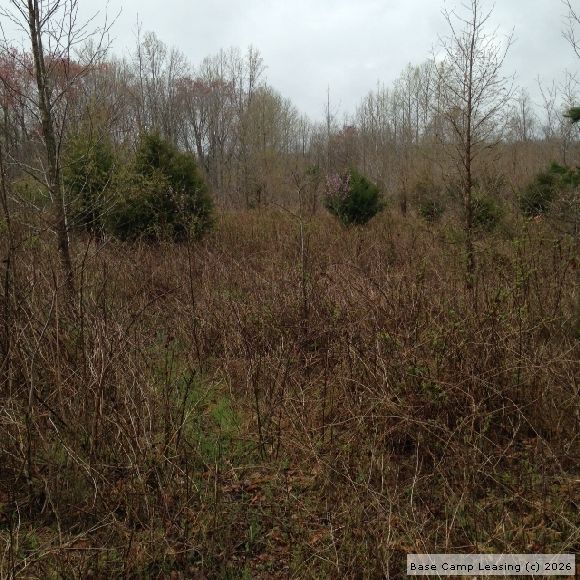 Pittsylvania County Virginia Hunting Lease Property 6545 Base Camp