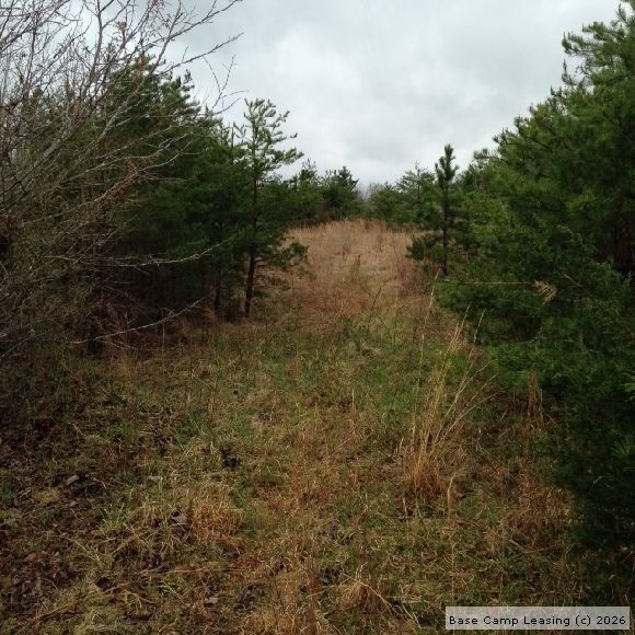 Pittsylvania County Virginia Hunting Lease Property 6545 Base Camp