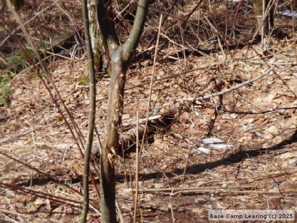 Cortland County New York Hunting Lease - Property #6557 | Base Camp Leasing Cortland County New York Hunting Lease - Property #6557 | Base Camp Leasing