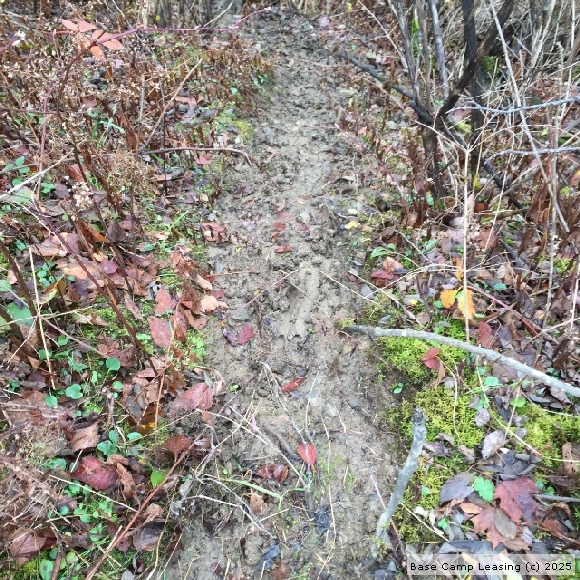 Tioga County Pennsylvania Hunting Lease Property 6906 Base Camp