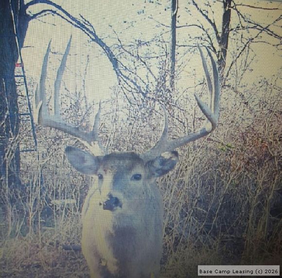 Greenwood County Kansas Hunting Lease Property 5683 Base Camp Leasing