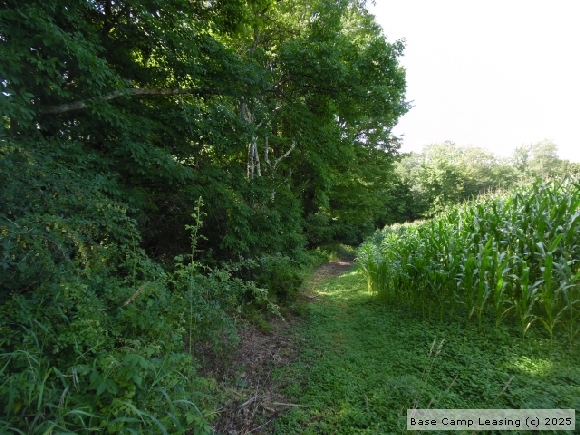 Chenango County New York Hunting Lease - Property #7280 | Base Camp Leasing