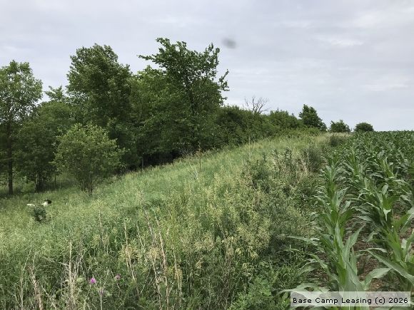 Otter Tail County Minnesota Hunting Lease - Property #8223 | Base Camp