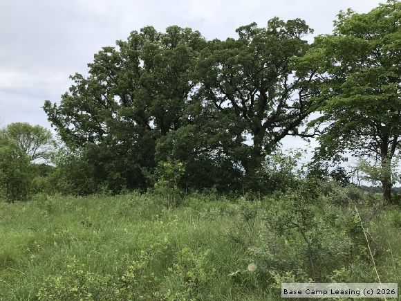 Otter Tail County Minnesota Hunting Lease - Property #8223 | Base Camp