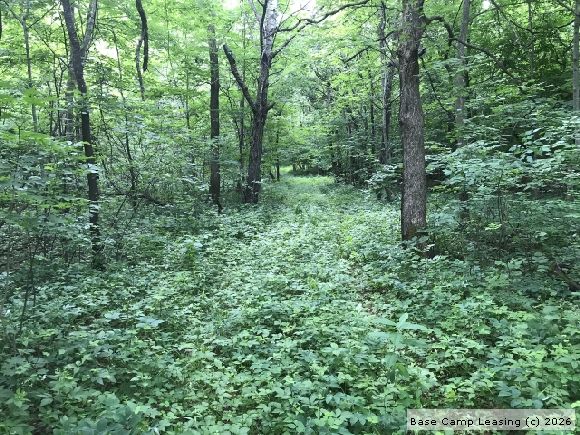 Otter Tail County Minnesota Hunting Lease - Property #8469 | Base Camp