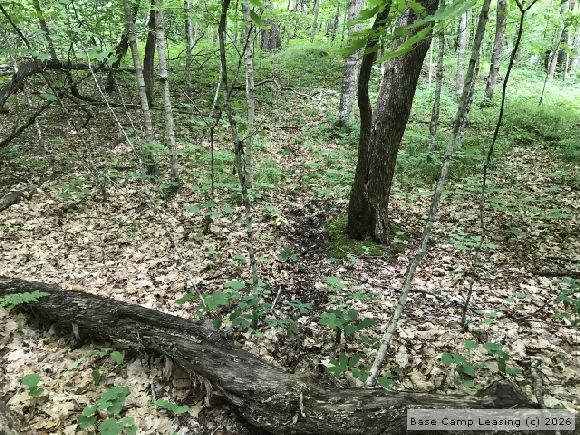 Otter Tail County Minnesota Hunting Lease - Property #8469 | Base Camp