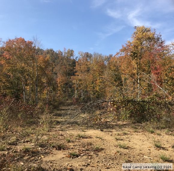 Clay County Kentucky Hunting Lease Property 8522 Base Camp Leasing