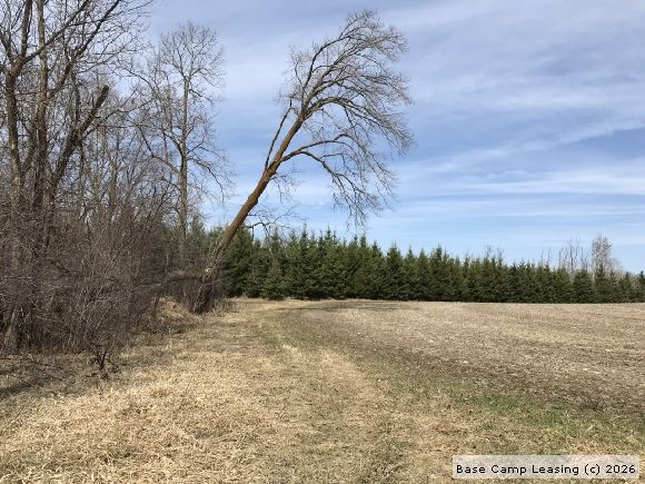 Otter Tail County Minnesota Hunting Lease - Property #8643 | Base Camp