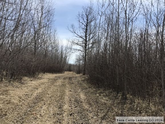 Otter Tail County Minnesota Hunting Lease - Property #8643 | Base Camp