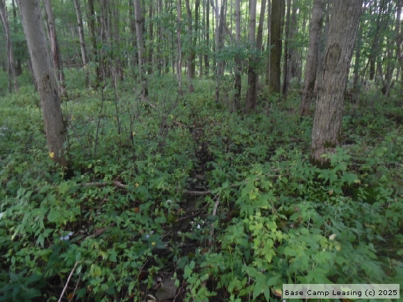 Chenango County New York Hunting Lease - Property #8900 | Base Camp Leasing