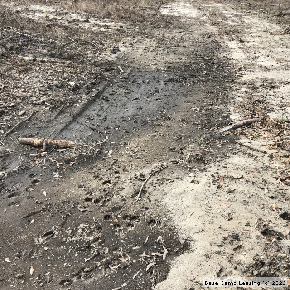 Emanuel County Hunting Lease Property 9158 Base Camp Leasing