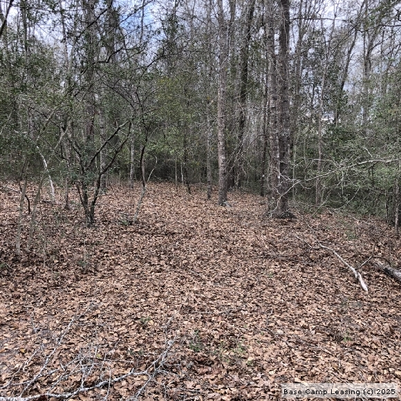 Emanuel County Hunting Lease Property 9158 Base Camp Leasing