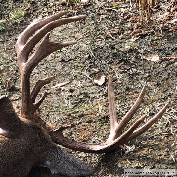 Butler County Kentucky Hunting Lease Property 5457 Base Camp Leasing