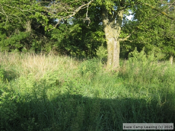 Craig County Oklahoma Hunting Lease - Property #9434 | Base Camp Leasing Craig County Oklahoma Hunting Lease - Property #9434 | Base Camp Leasing