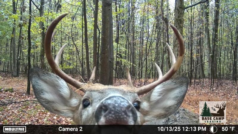 Click to Enlarge and for Description