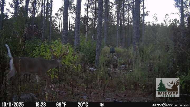 Click to Enlarge and for Description