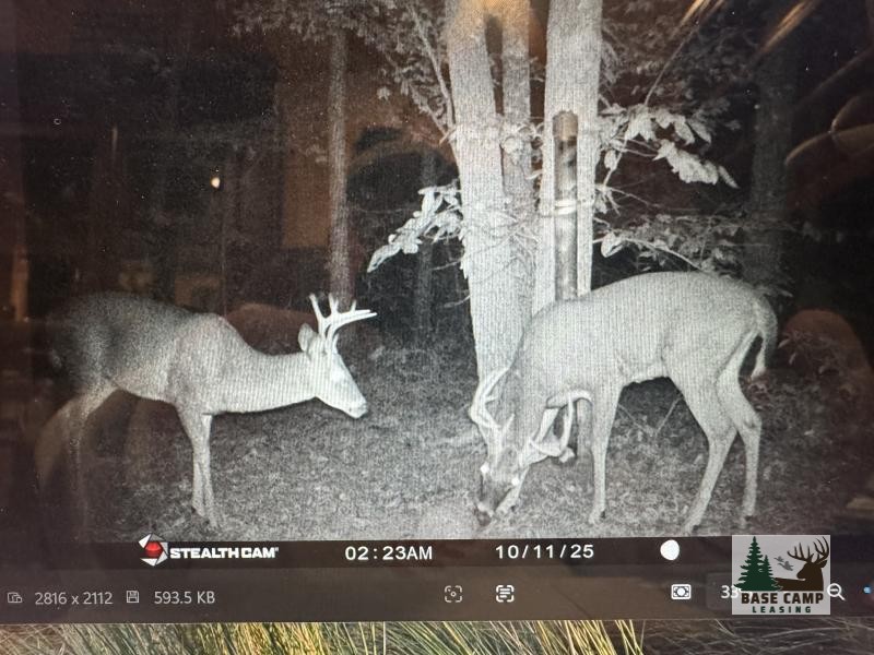 Click to Enlarge and for Description