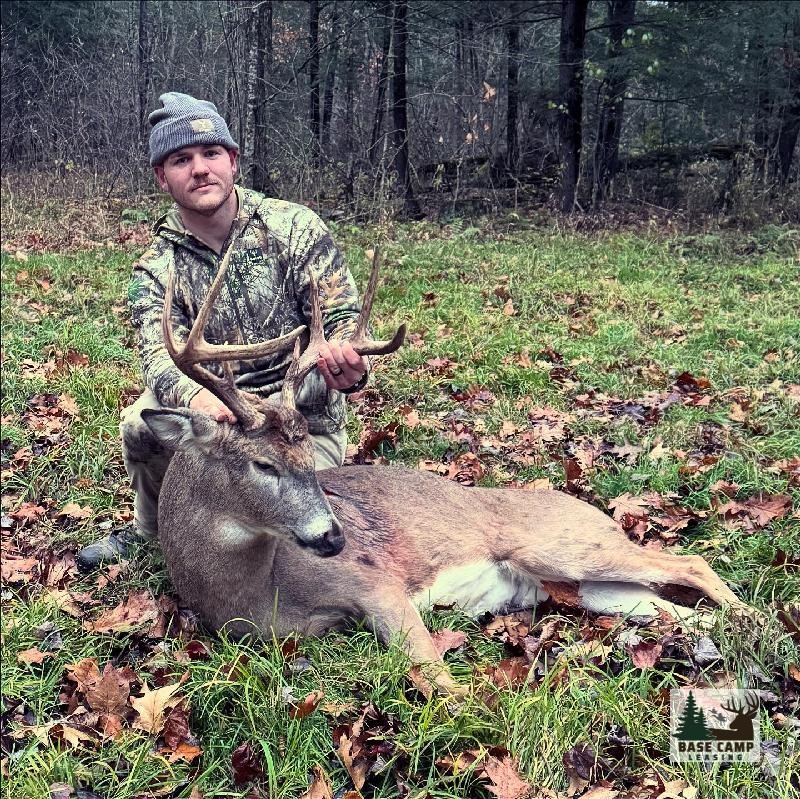 Click to Enlarge and for Description