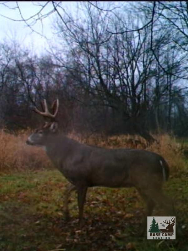 Click to Enlarge and for Description