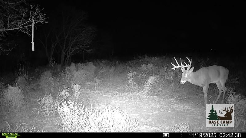 Click to Enlarge and for Description